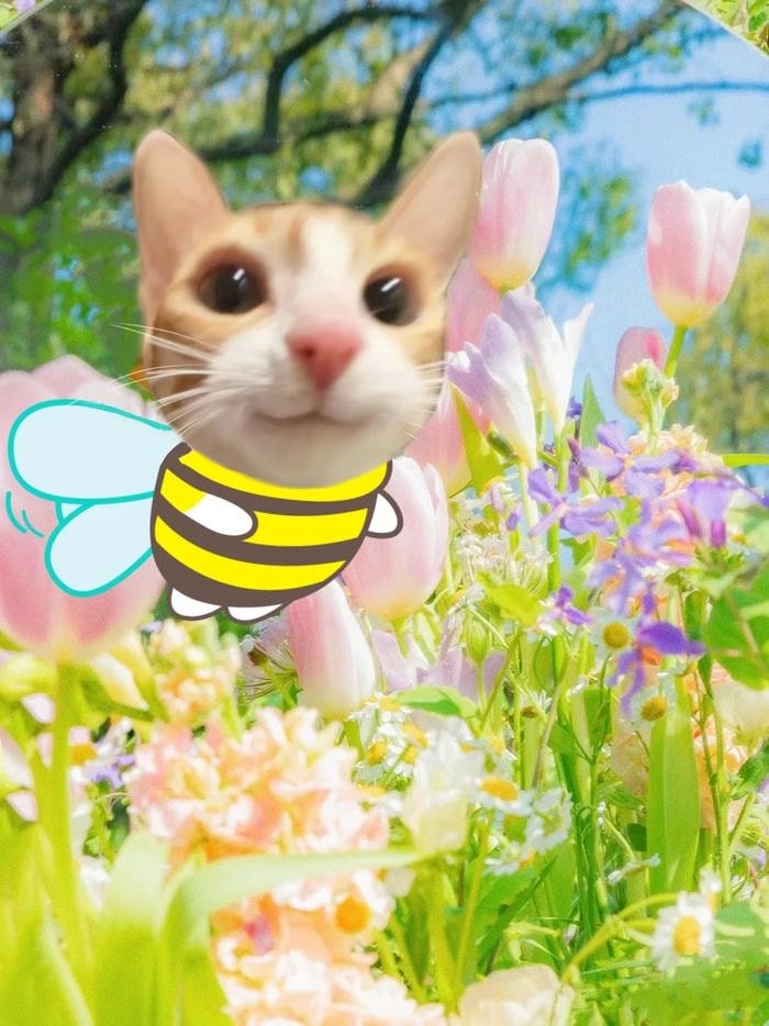 bee kawaii pfp