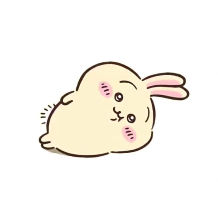 bunny avatar cute