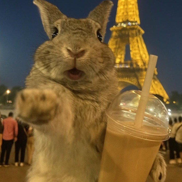 bunny sweet aesthetic