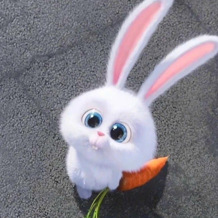 chibi bunny pfp