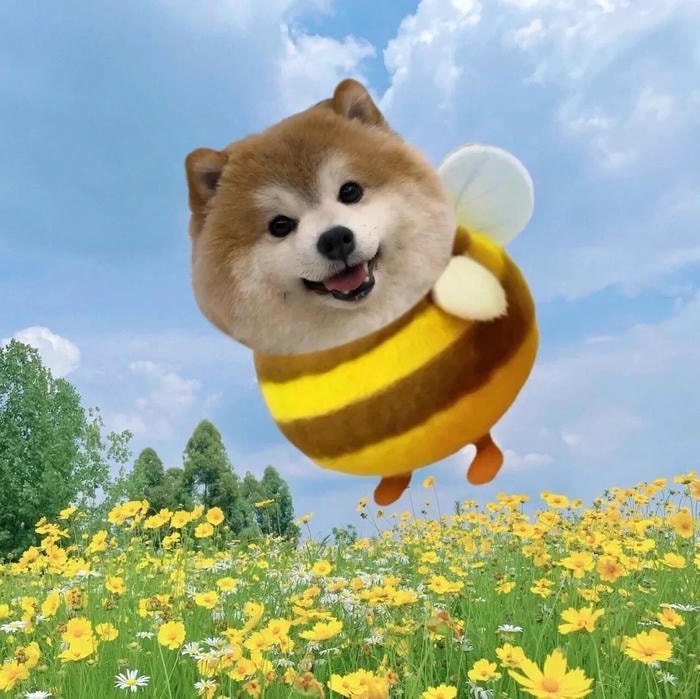 cute bee pfp