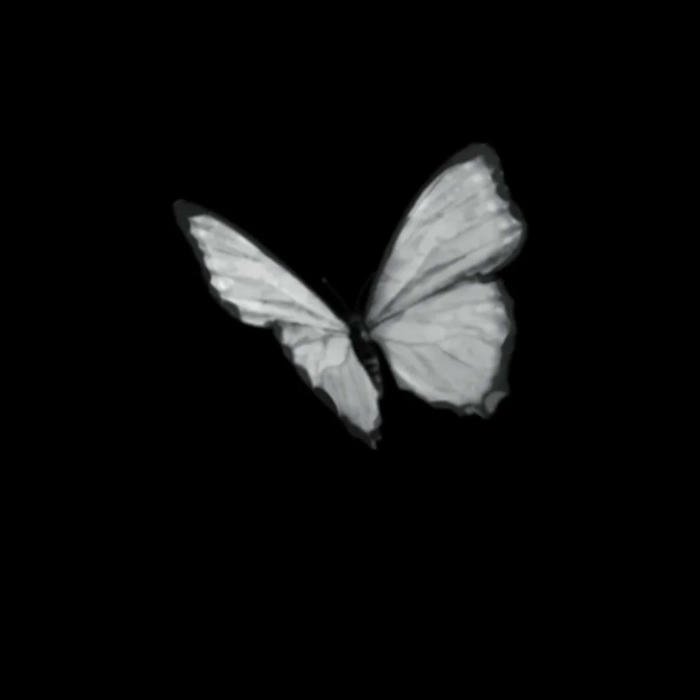 cute black simple pfp