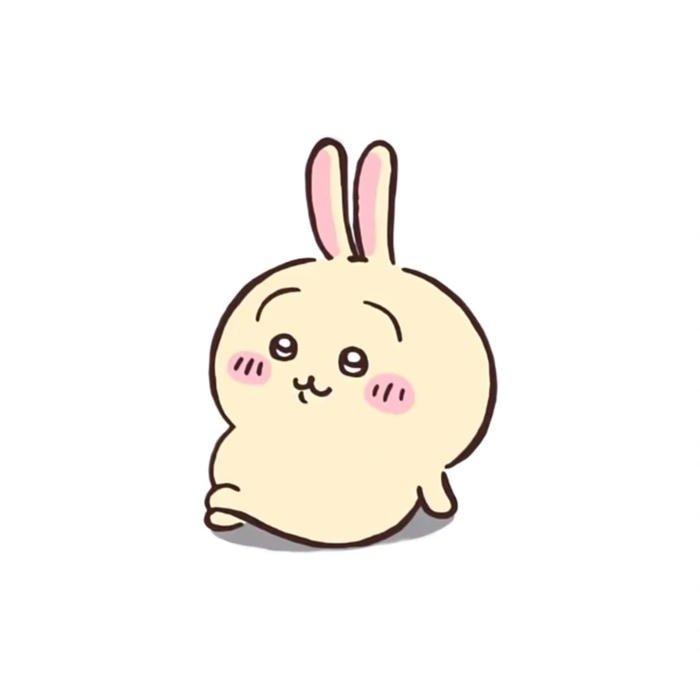 cute bunny pfp