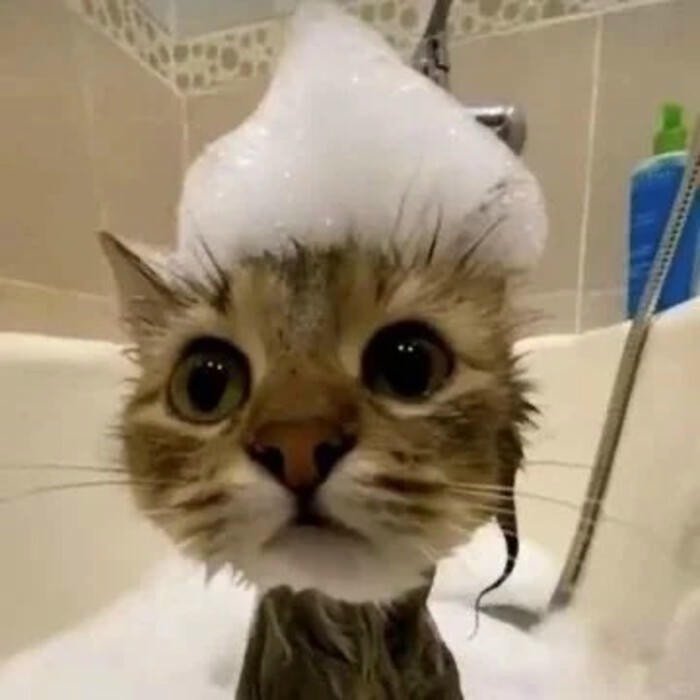 cute preppy selfie style