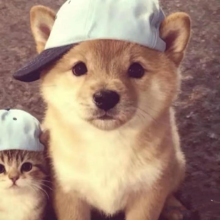 matching cute dp for couples boy