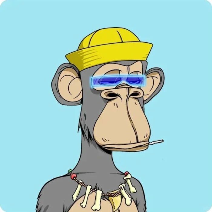 monkey cute portrait