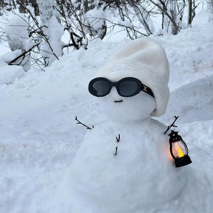 pfp mùa đông đơn giản