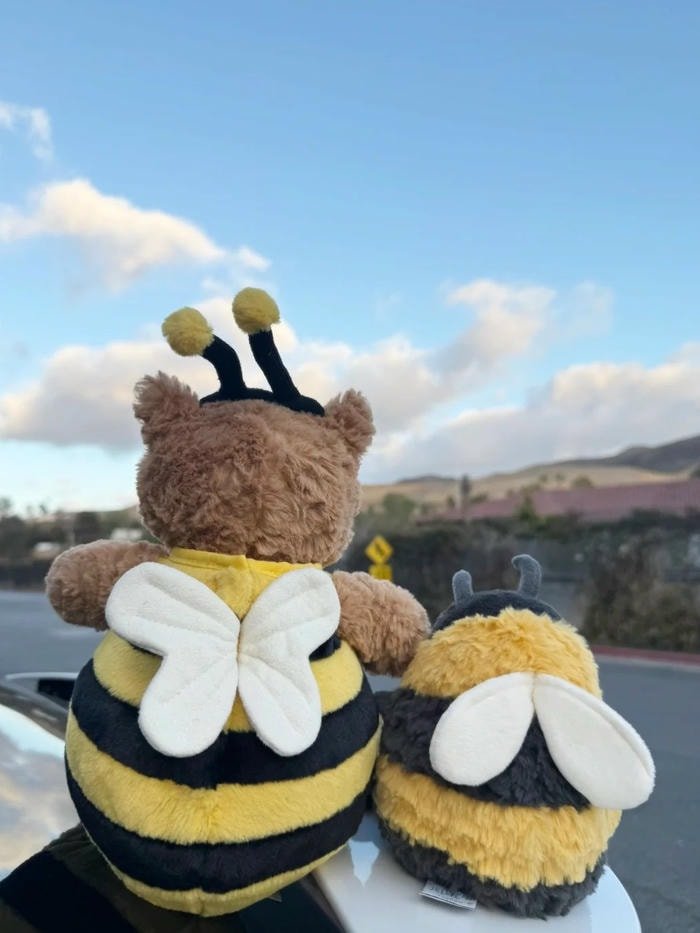 pfp ong phong cách dễ thương