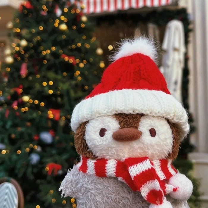 winter aesthetic pfp