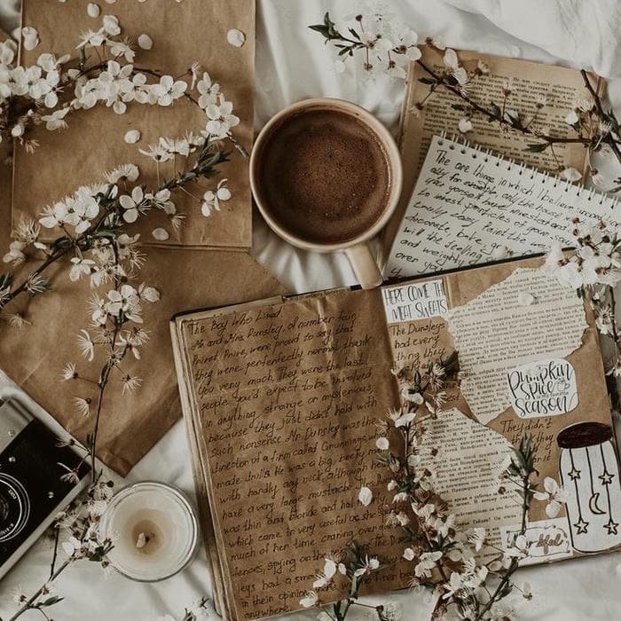 Aesthetic pfp vintage calm dreamy mood