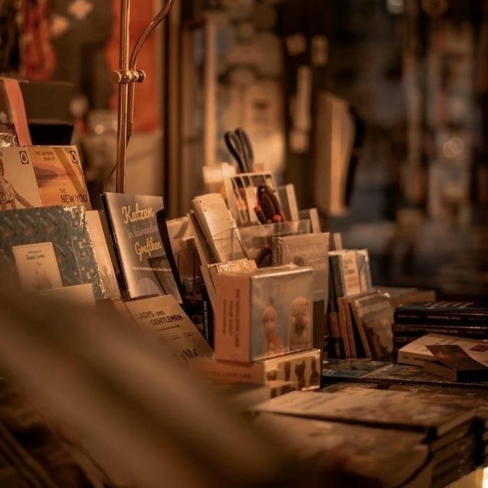 Aesthetic pfp vintage soft shadow tones