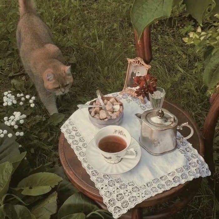 Aesthetic vintage pfp calm nostalgic vibe