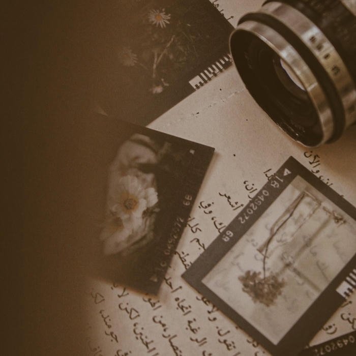 Aesthetic vintage pfp soft cinematic mood