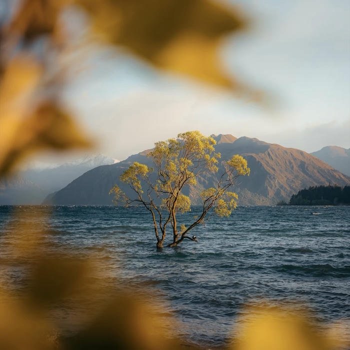 Autumn day nature aesthetic pfp tones