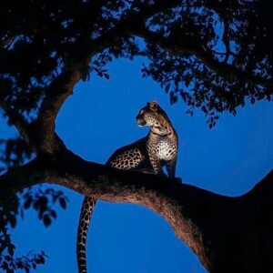 133+ Blue PFP Aesthetic ideas for calm & modern profiles