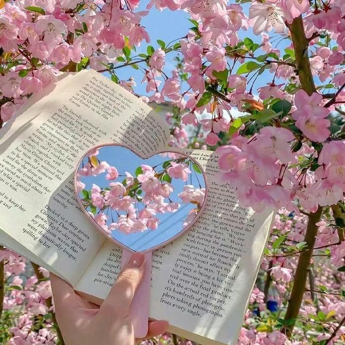 Calm pastel japanese style profile picture