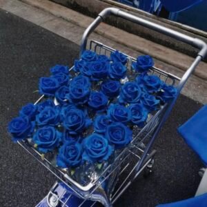 133+ Blue PFP Aesthetic ideas for calm & modern profiles