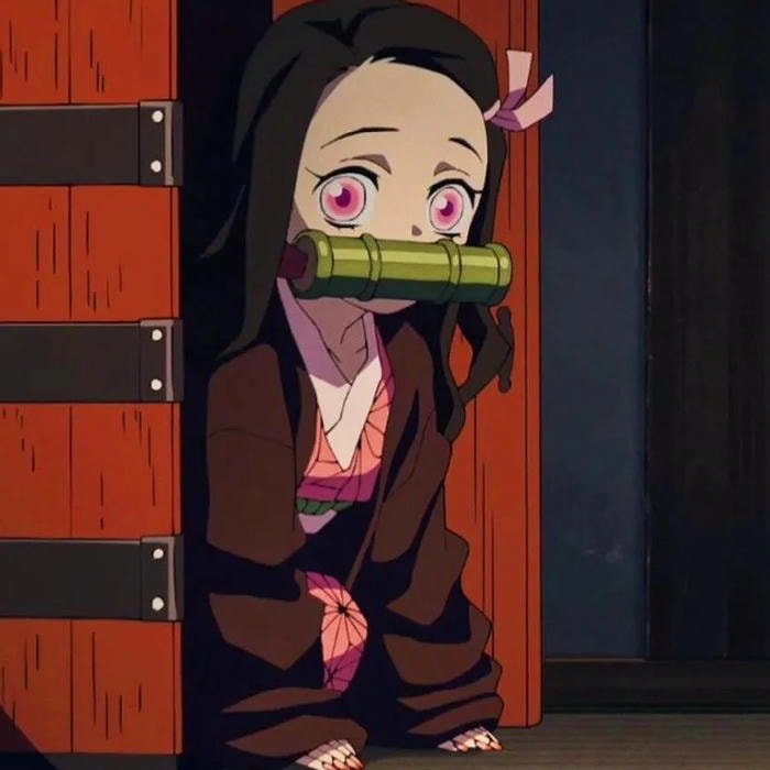 Demon Slayer aesthetic pfp