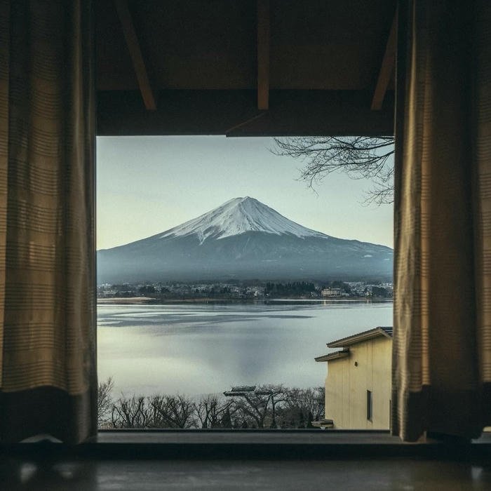 Forest fog nature aesthetic pfp atmosphere