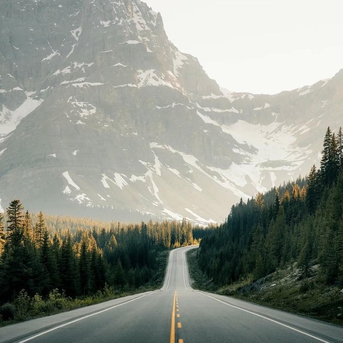 Gentle nature aesthetic pfp moment