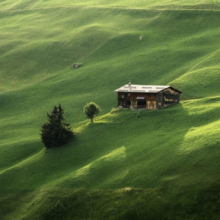 Green fields nature aesthetic pfp harmony