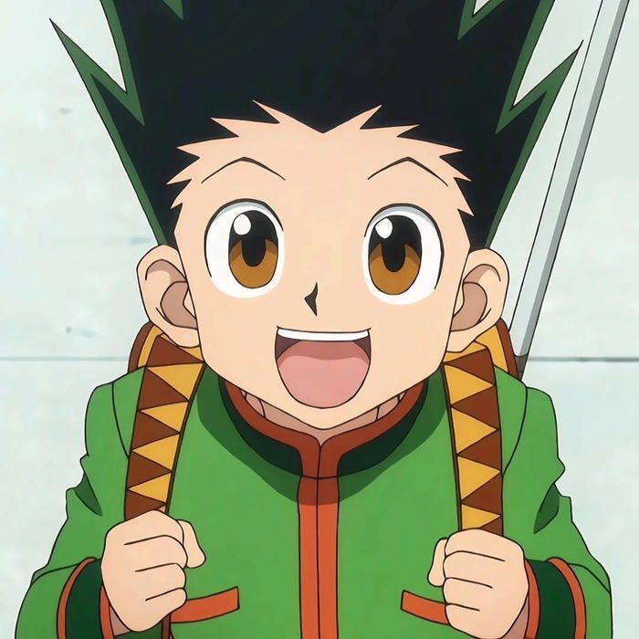 Hunter x Hunter anime pfp