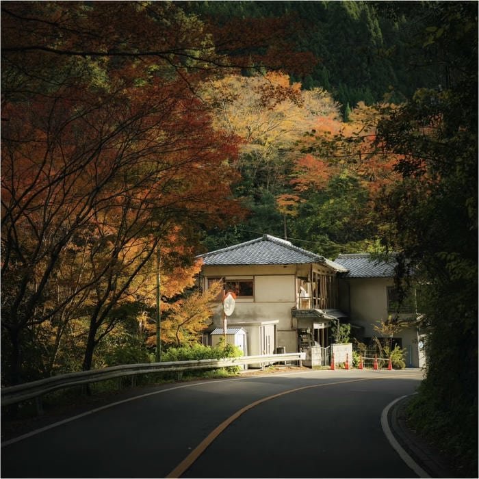 Modern minimalist japanese aesthetic profile picture