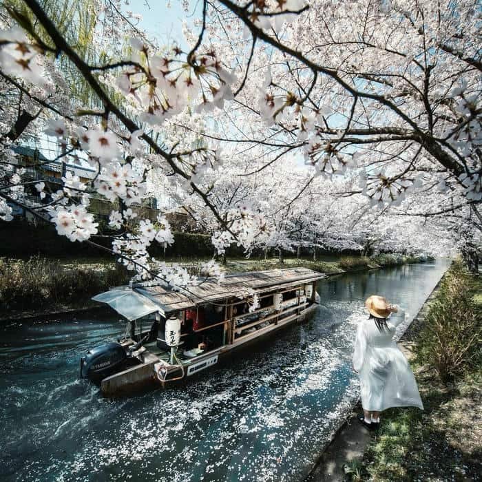 Pastel sky nature aesthetic pfp look