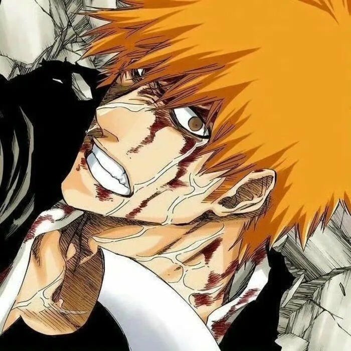 Toshiro snowy pfp