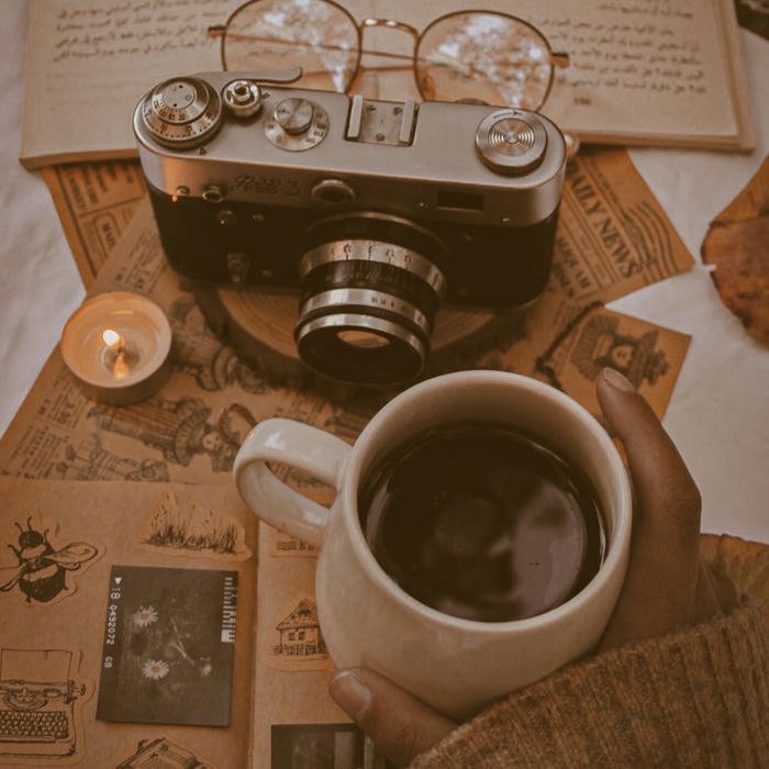 Vintage aesthetic pfp elegant retro atmosphere