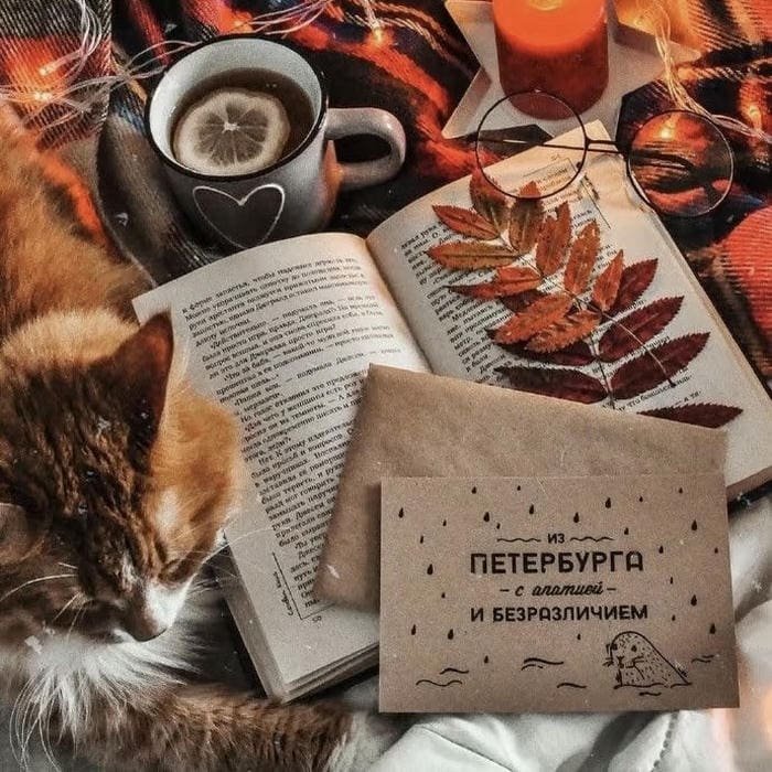 Vintage aesthetic pfp minimal classic composition