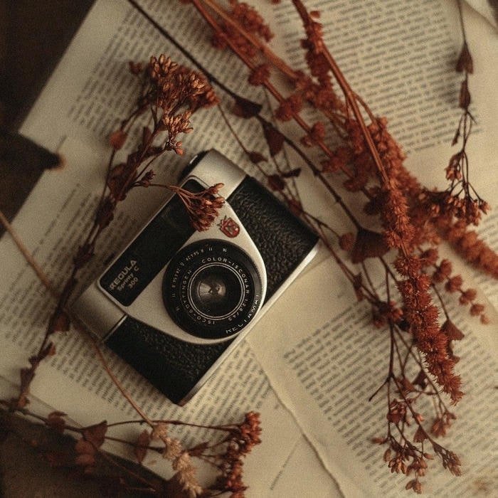 Vintage aesthetic pfp with warm tones