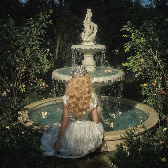 Vintage aesthetic profile picture soft lighting