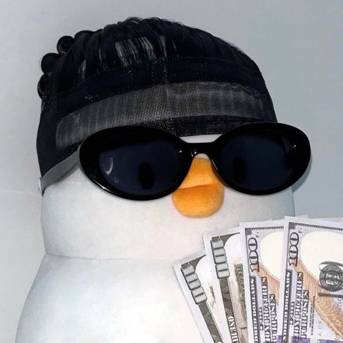 aesthetic money profile picture simple elegance