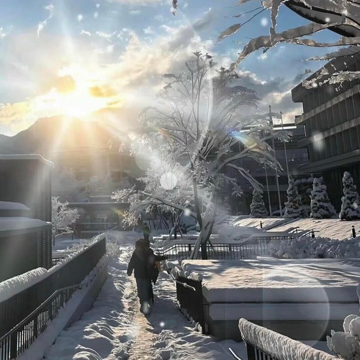 aesthetic pfp winter expressing soft cold emotions