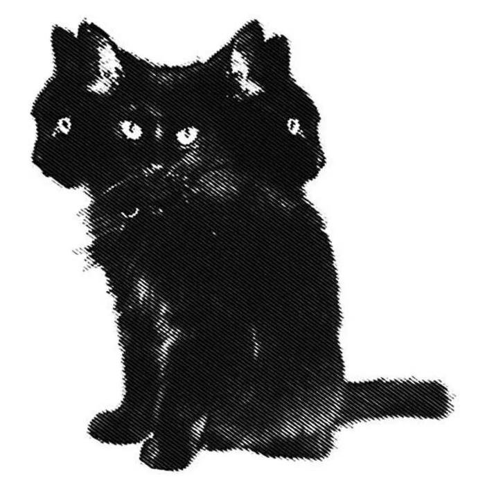 artistic aesthetic black pfp with subtle textures