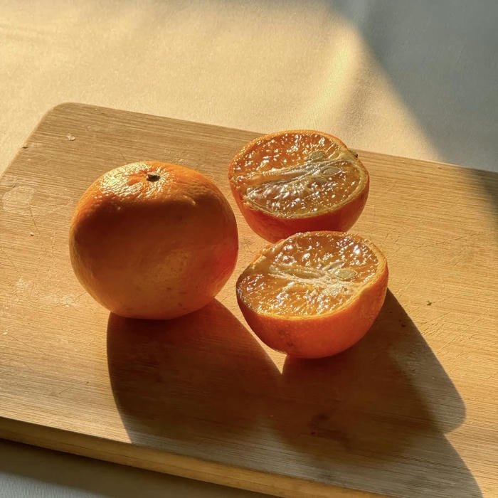 bright cozy aesthetic pfp orange mood