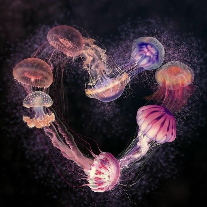 calm sea mood jellyfish pfp aesthetic