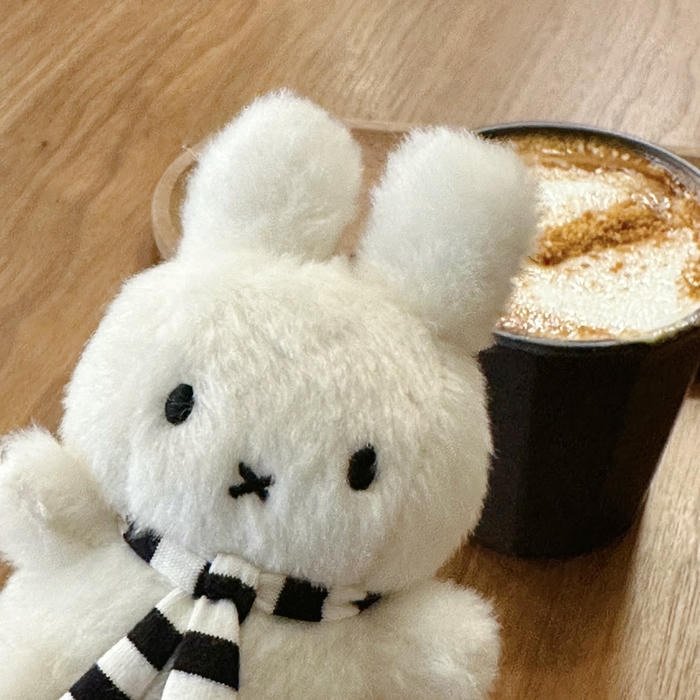 classic nijntje miffy aesthetic pfp artwork