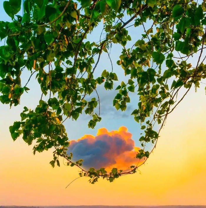 clean airy look for soft aesthetic pfp