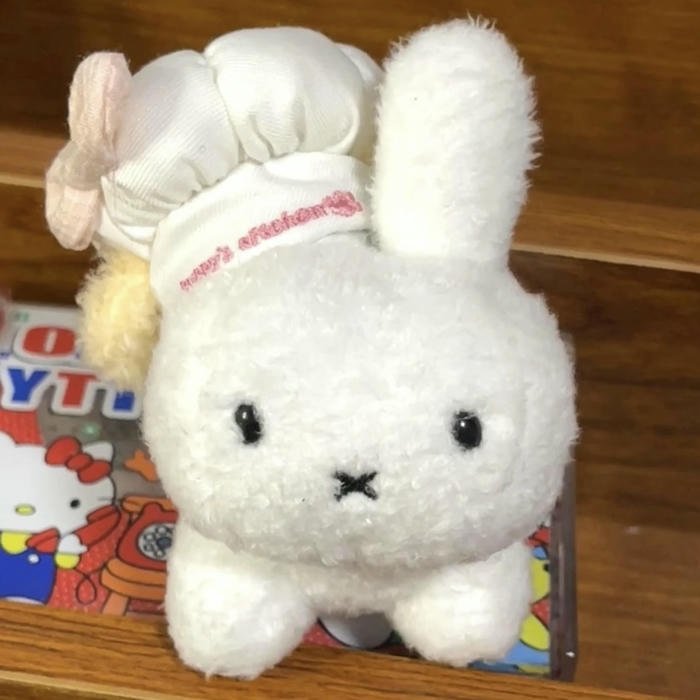 clean graphic style miffy aesthetic pfp