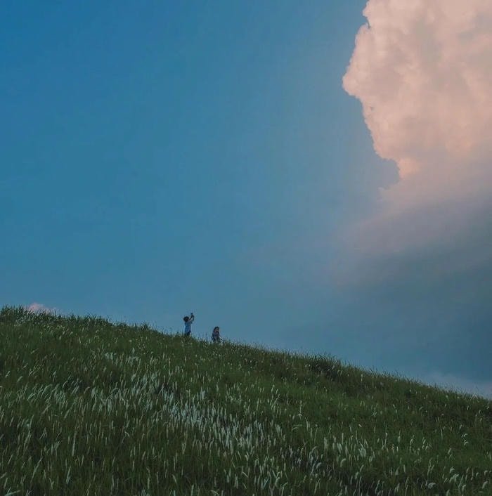 clean minimal avatar built around soft aesthetic pfp