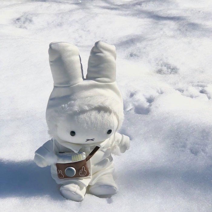 clean soft cartoon miffy aesthetic pfp