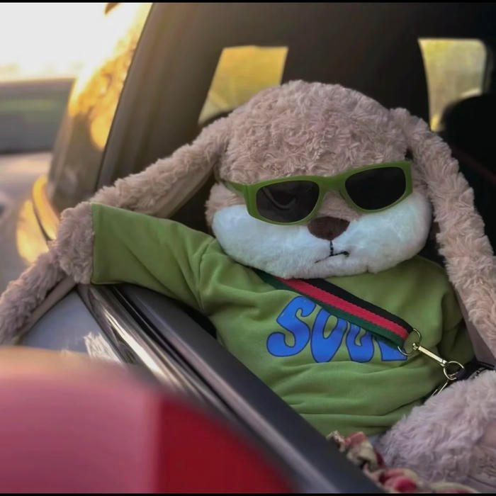 clean visual presence defining profile avatar