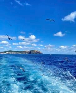 coastal blue gradients framing profile image