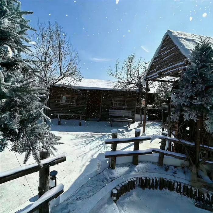 cold weather inspired winter aesthetic profile picture