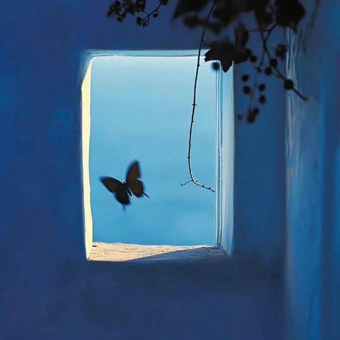 cool blue palette defining profile avatar style