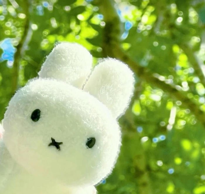 cute minimalist rabbit miffy aesthetic pfp