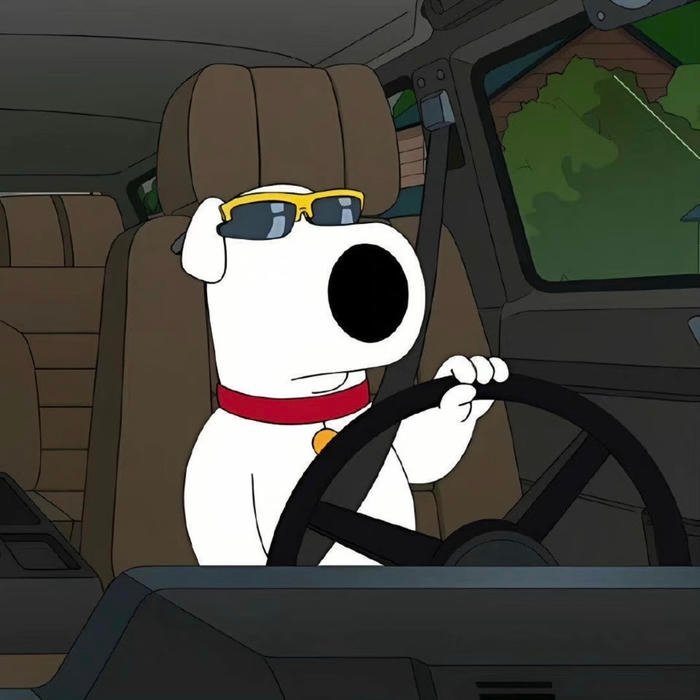 dog cool pfp aesthetic pic