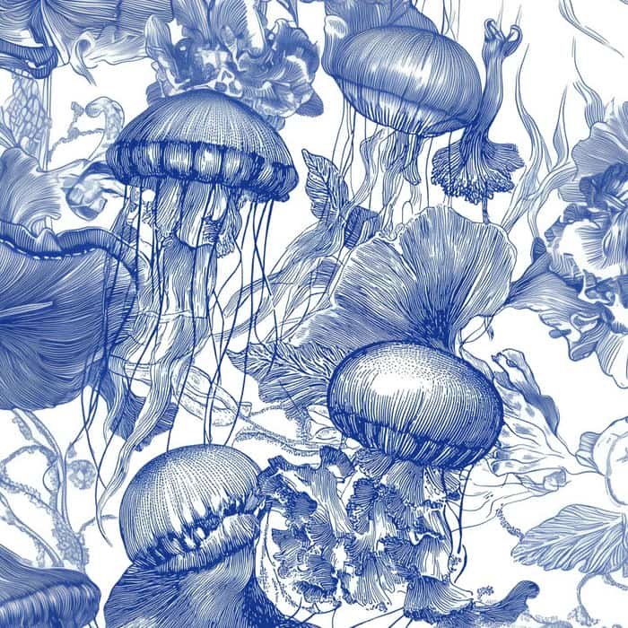 dreamy jellyfish pfp aesthetic ocean mood